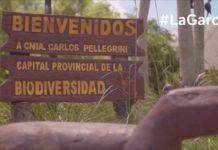 Chamigo, Corrientes pide por el Iberá